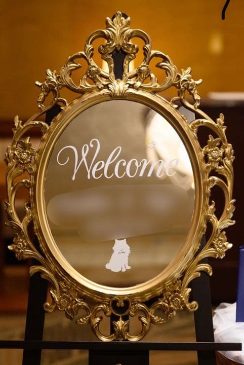 ウェルカムミラー