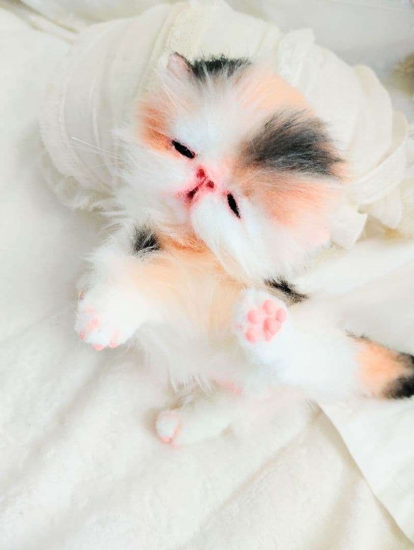 さんごやま様❤オーダー♡ほにゃほにゃ〜キャリコ子猫ちゃん♡アートドールぬいぐるみ