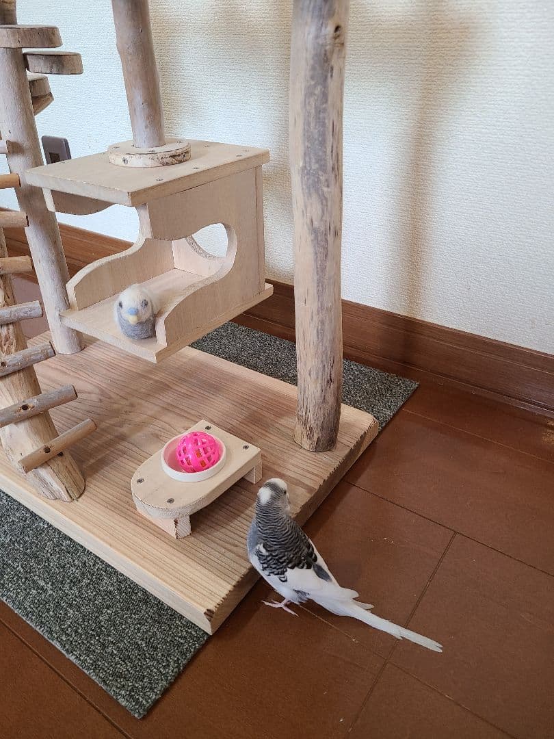 ⑦イボンヌ　オーダーバードアスレチック　流木　ハンドメイド