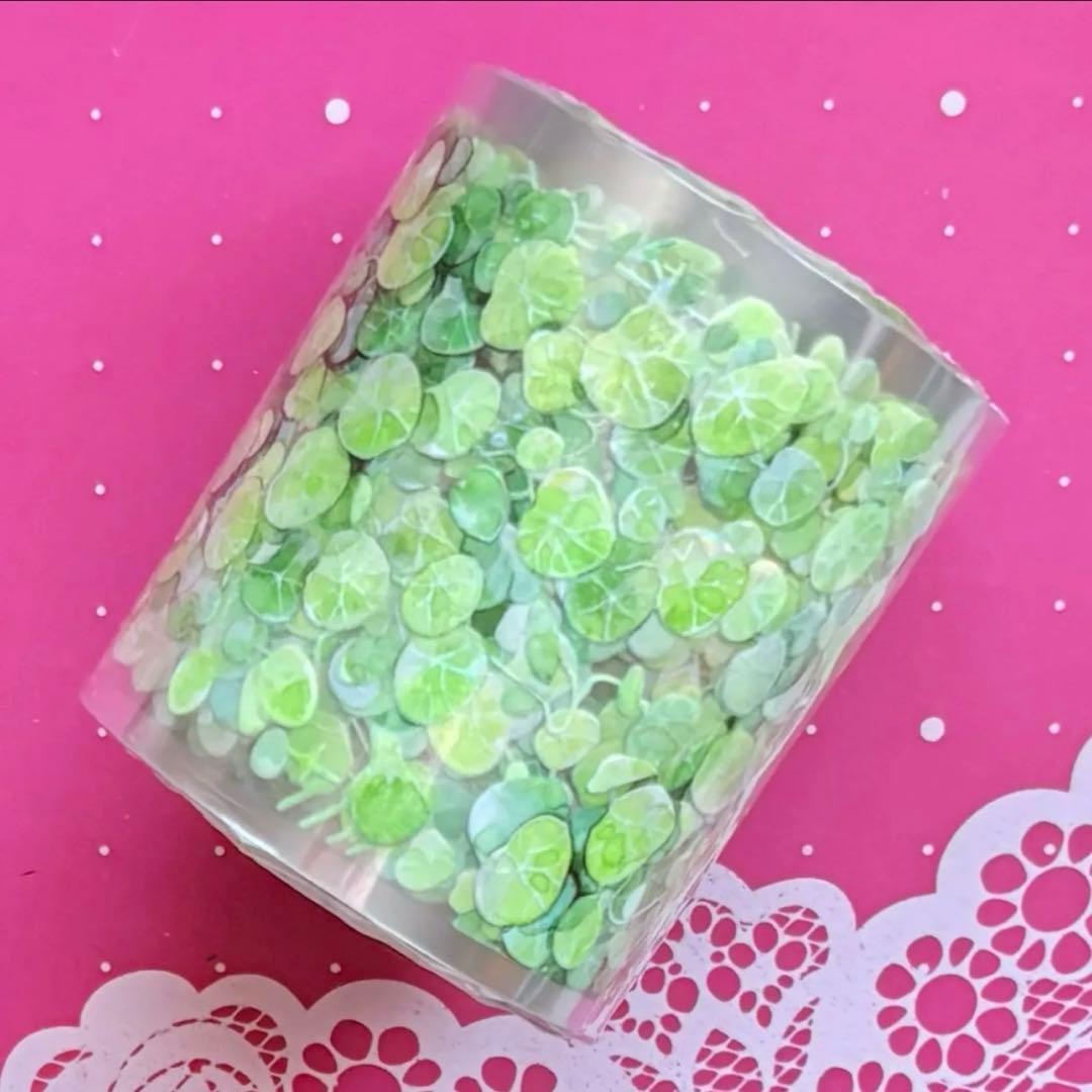 贝壳光 山乌龟 5.5cm×10m 海外マスキングテープ　海外マステ　葉