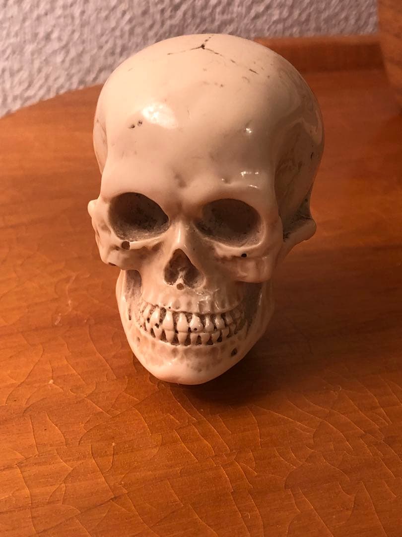 ビンテージ　スカル　髑髏　骸骨　ネイバーフッド　ミッドセンチュリー レトロ