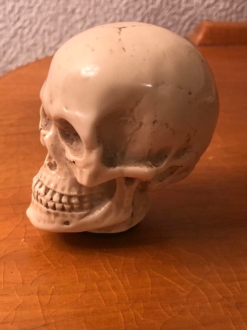 ビンテージ　スカル　髑髏　骸骨　ネイバーフッド　ミッドセンチュリー レトロ