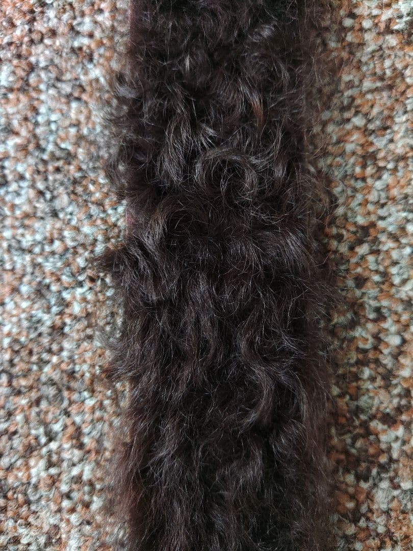 ドン小西　ヨシユキコニシ　レザーファーベルト新品　定価65100円