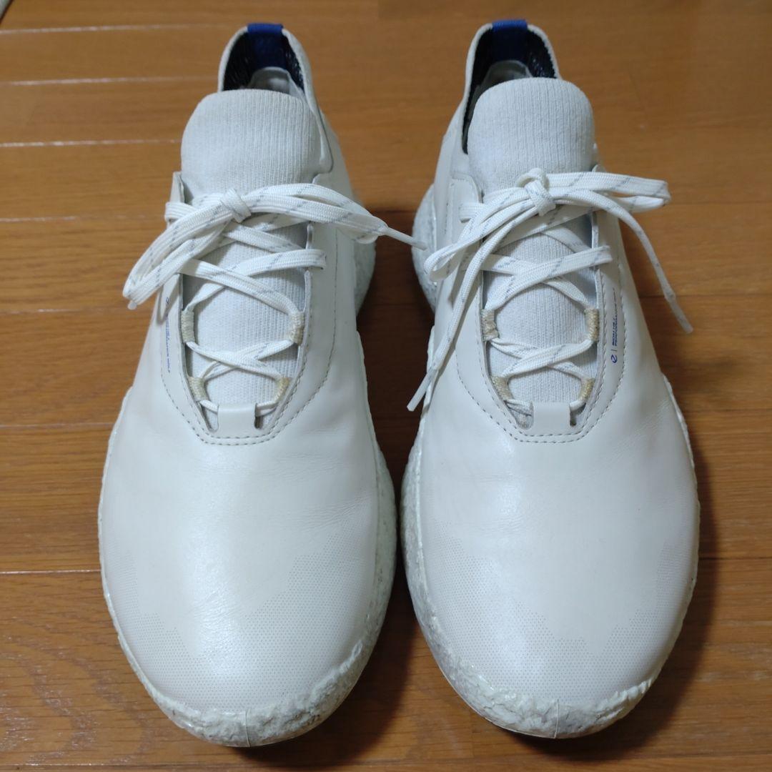 シューズ(男性用) ecco BIOM H5 43