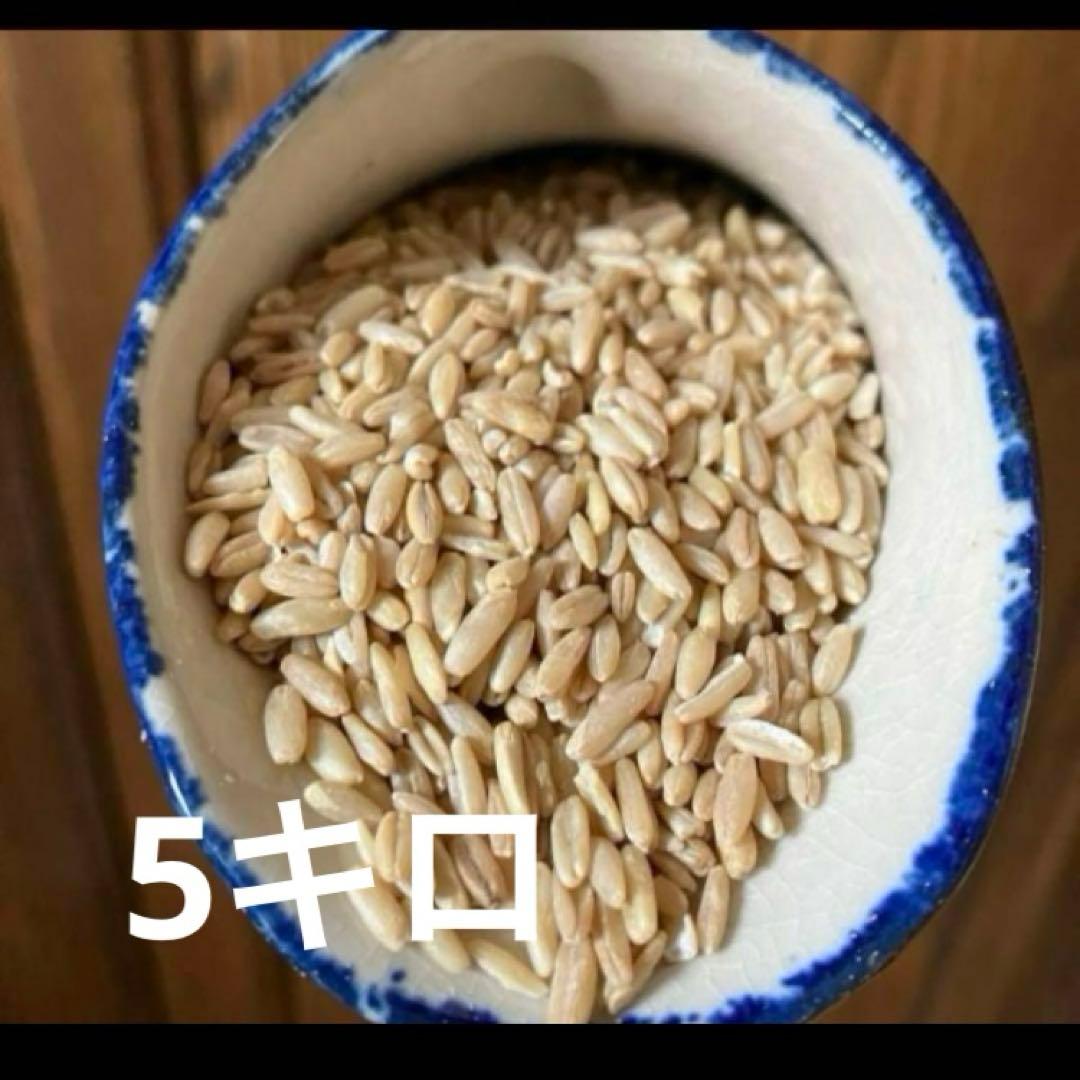 Mona様 リクエスト 6点 まとめ商品