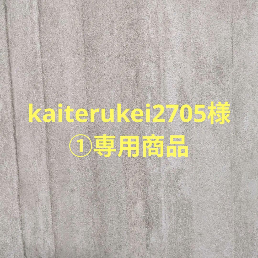 225/80R17.5 123/122L DECTRS SP541 新品夏