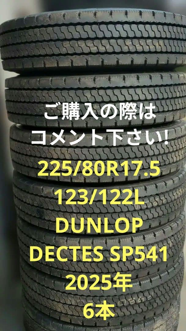 225/80R17.5 123/122L DECTRS SP541 新品夏