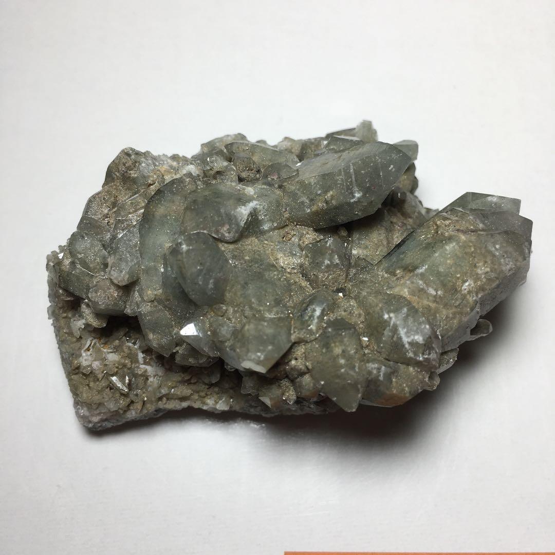 い　ヒマラヤクラスター