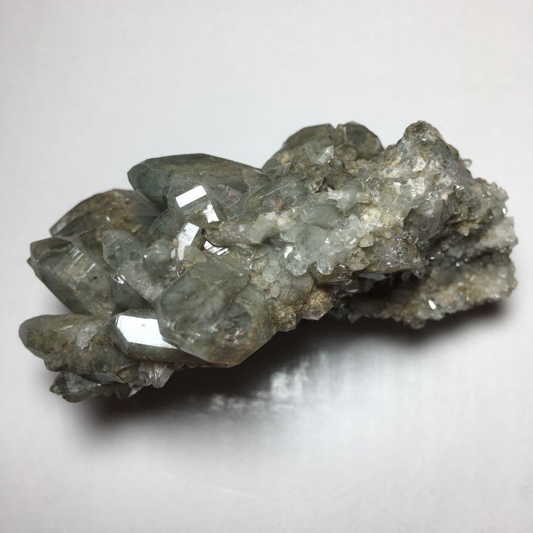 い　ヒマラヤクラスター