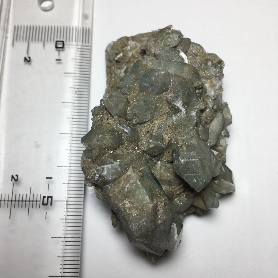 い　ヒマラヤクラスター