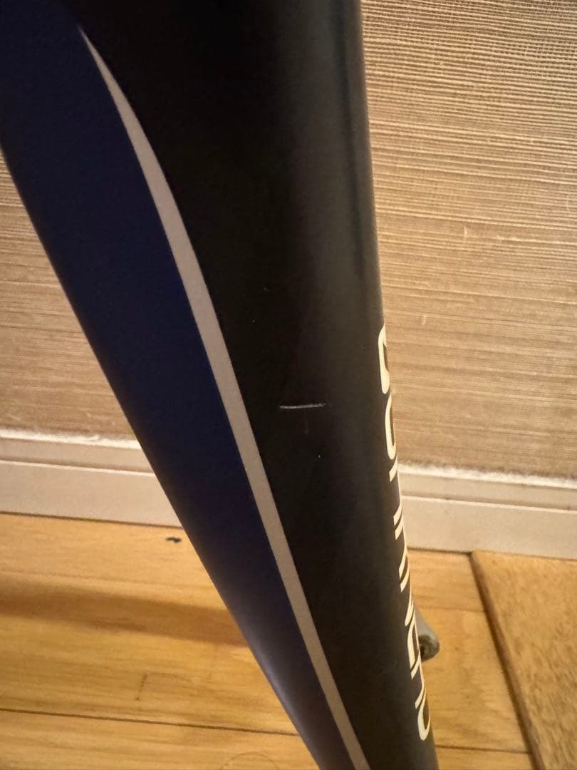 ルイガノ LGS-RSR LE フレームセット450 size