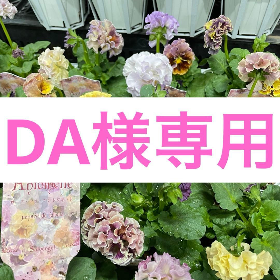 花 DA