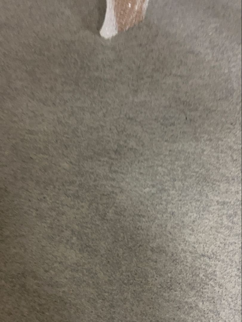 新品　ダイニングチェア 回転椅子　回転　アイボリー　ダークブラウン