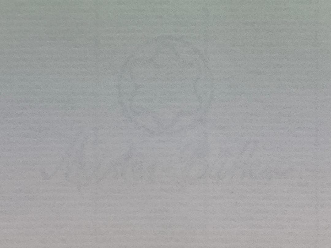 【レア】モンブラン MONTBLANC レザー バインダー ブラック