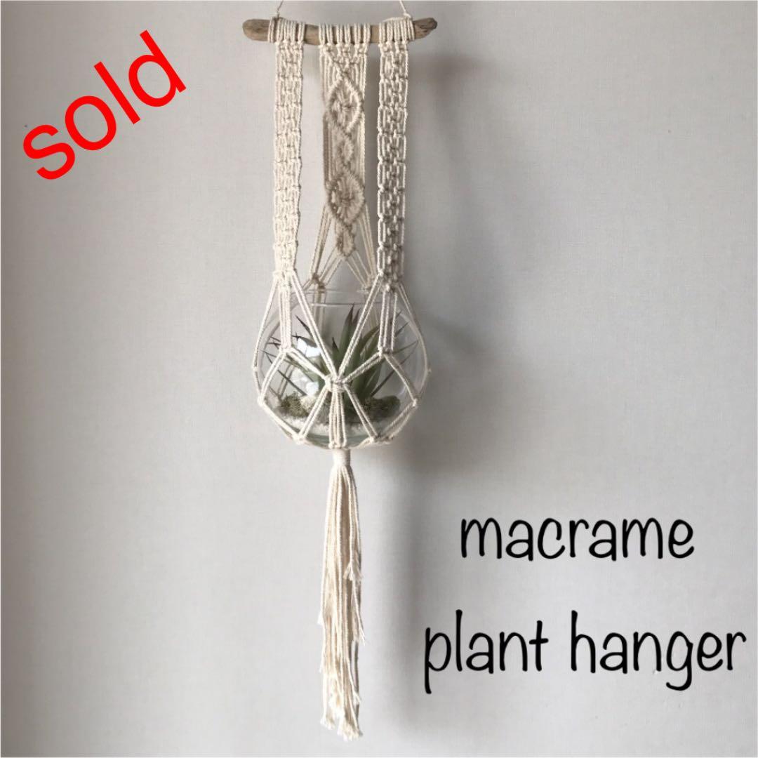 マクラメ 流木 プラントハンガー