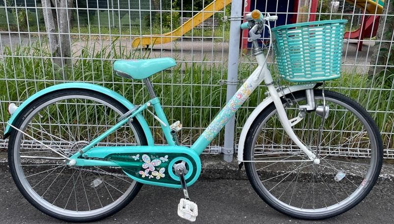 ブリヂストンECOPALエコパル22インチ-junior手渡しのみでお願いします