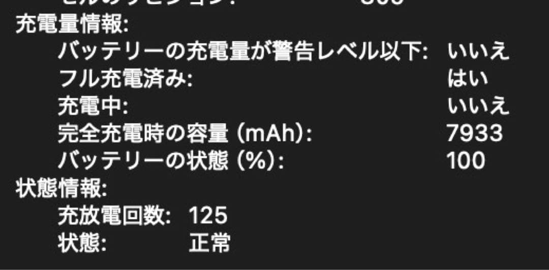 【充電回数125回】【バッテリー正常】MacBook Pro 16インチ2019