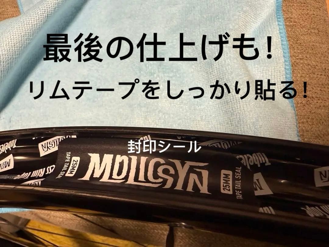 TOCCAY B2-50ホイール　リム高50mm