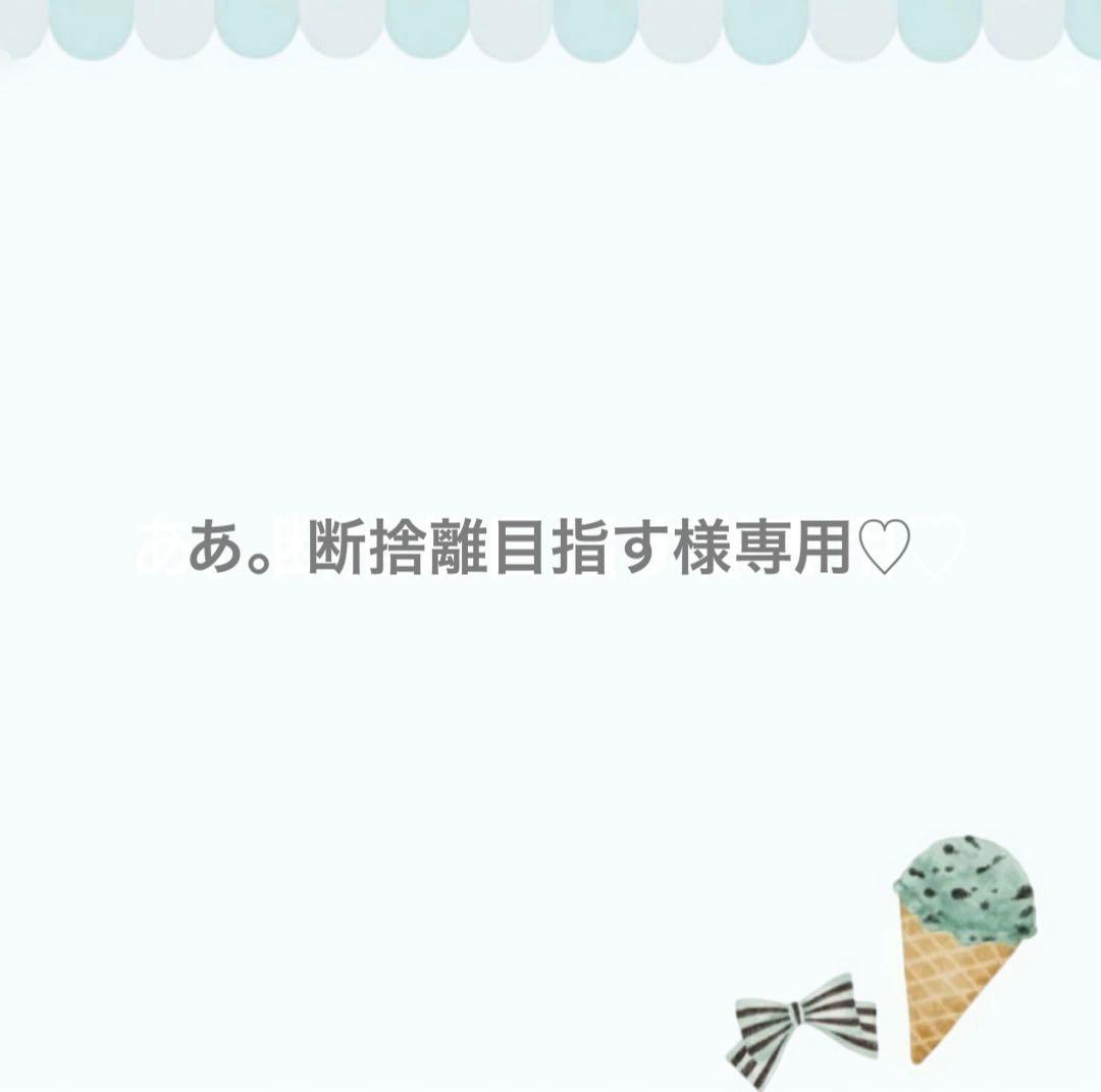 じゃらじゃらキーホルダー　専用♡