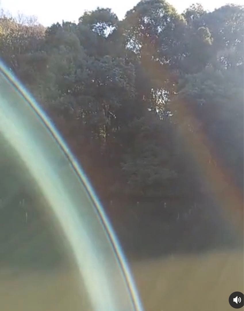 金運•財運上昇〜パワーUP金龍＆鳳凰⭐️龍体文字フトマニ図　オルゴナイト