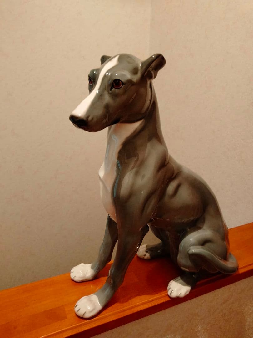 超大型 イタリア グレイハウンド リヤドロ