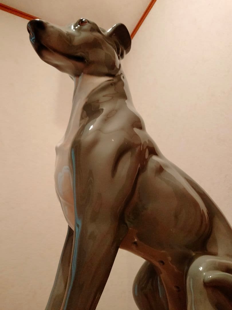 超大型 イタリア グレイハウンド リヤドロ