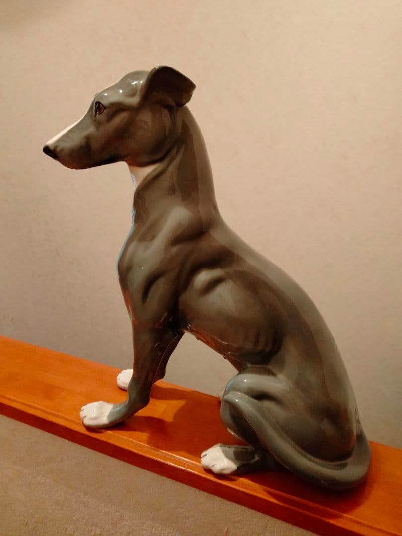 超大型 イタリア グレイハウンド リヤドロ