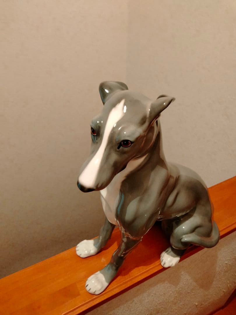 超大型 イタリア グレイハウンド リヤドロ