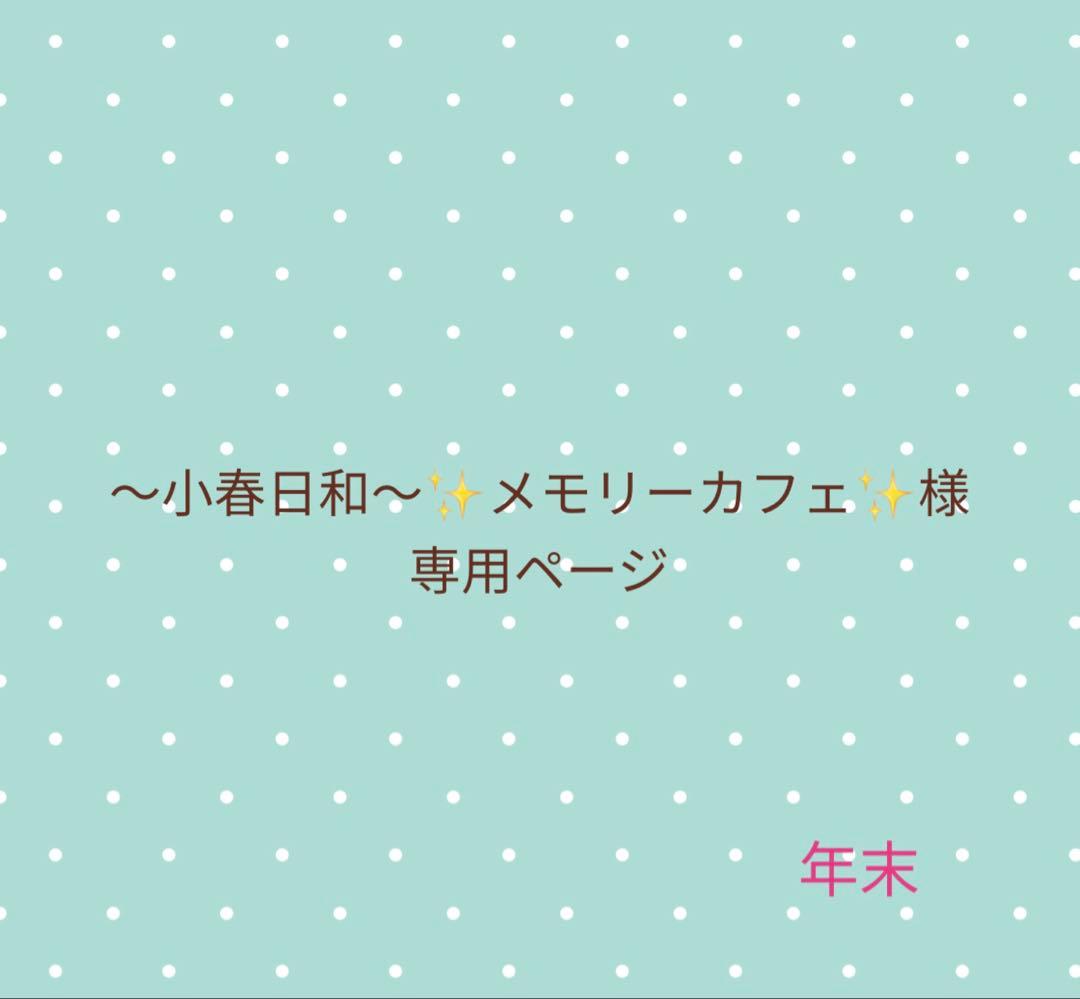 〜小春日和〜✨メモリーカフェ✨ページ 水引 パーツ