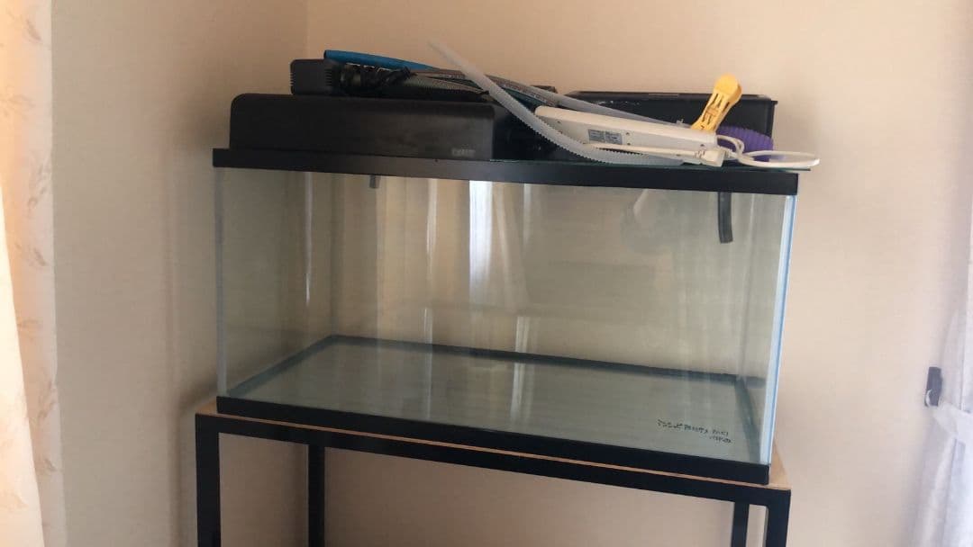 送料込み　90センチ水槽