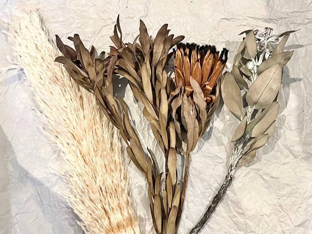 【訳あり】　アンティークドライフラワーセット⑤ おまけ付き