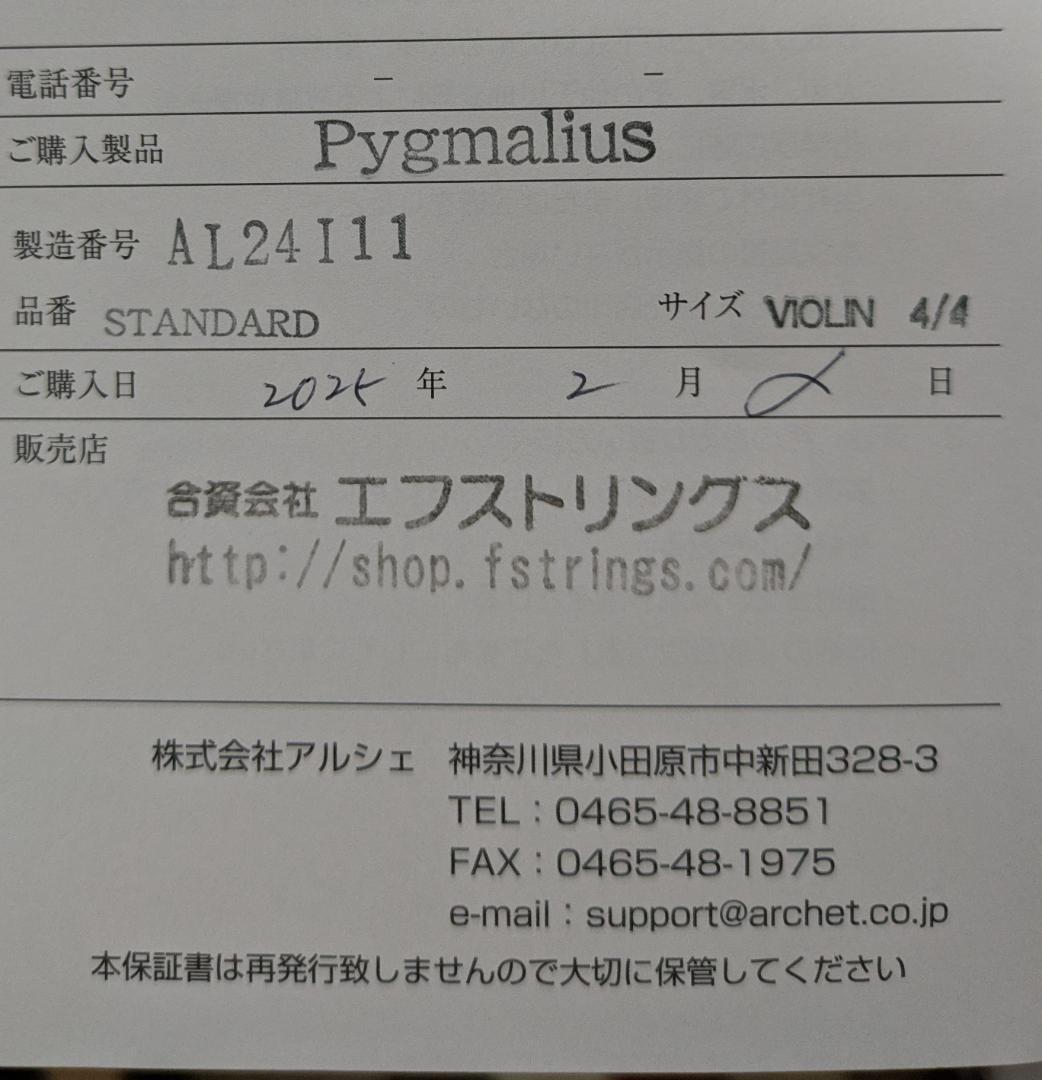 バイオリン ピグマリウス STANDARD (弓、ケース、スタンドセット)