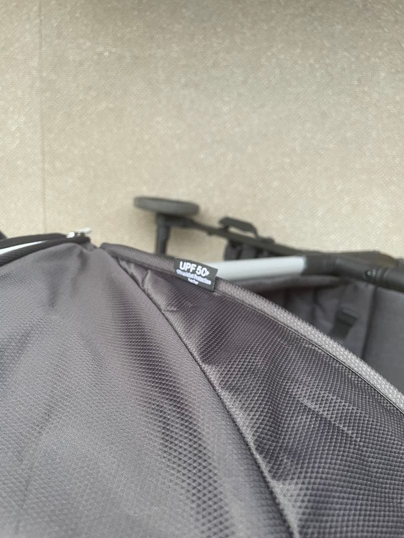 【早いもの勝】イングリッシーナ　クイッド2　ピューマブラック