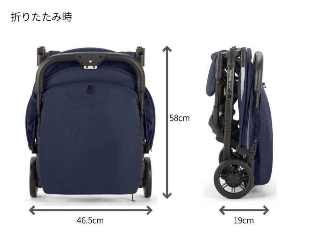 【早いもの勝】イングリッシーナ　クイッド2　ピューマブラック