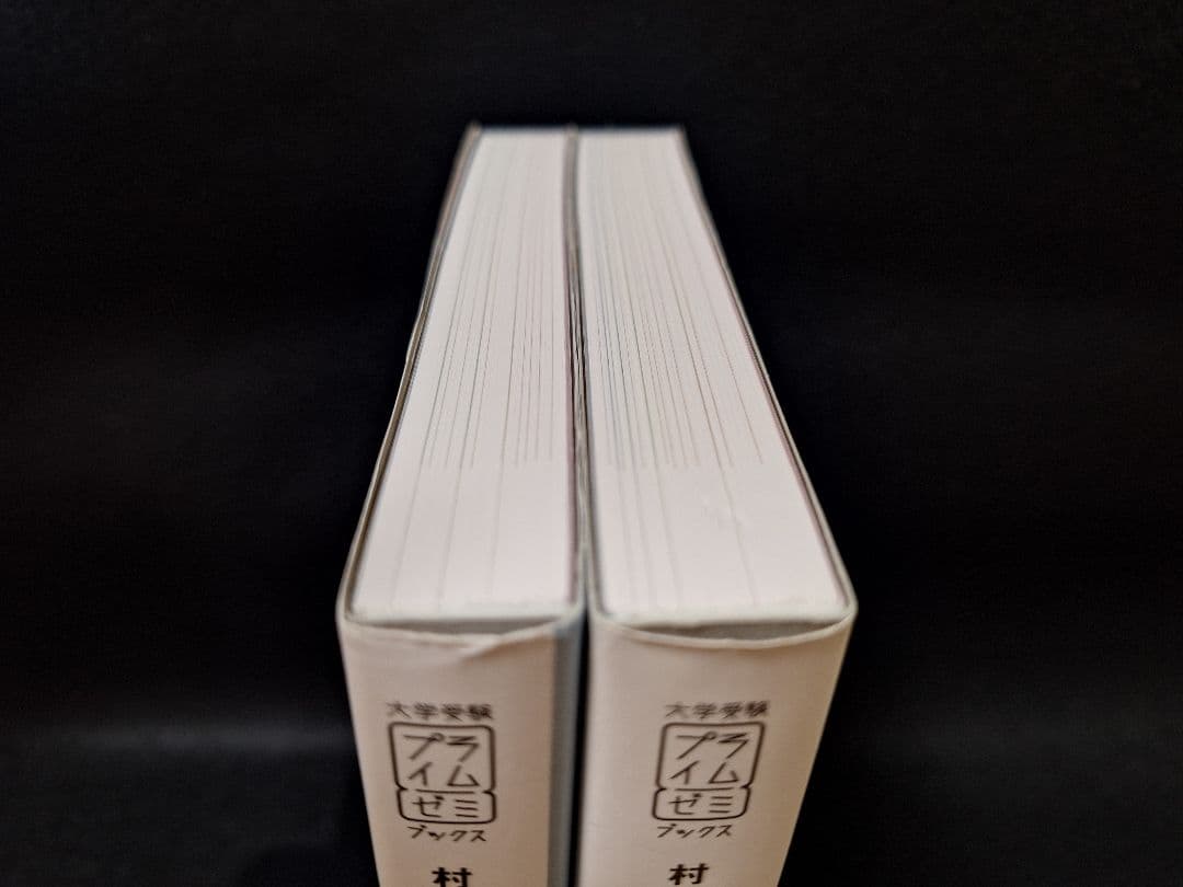 【ほぼ未使用・書き込み無し】村瀬のゼロからわかる地理B（2冊セット）
