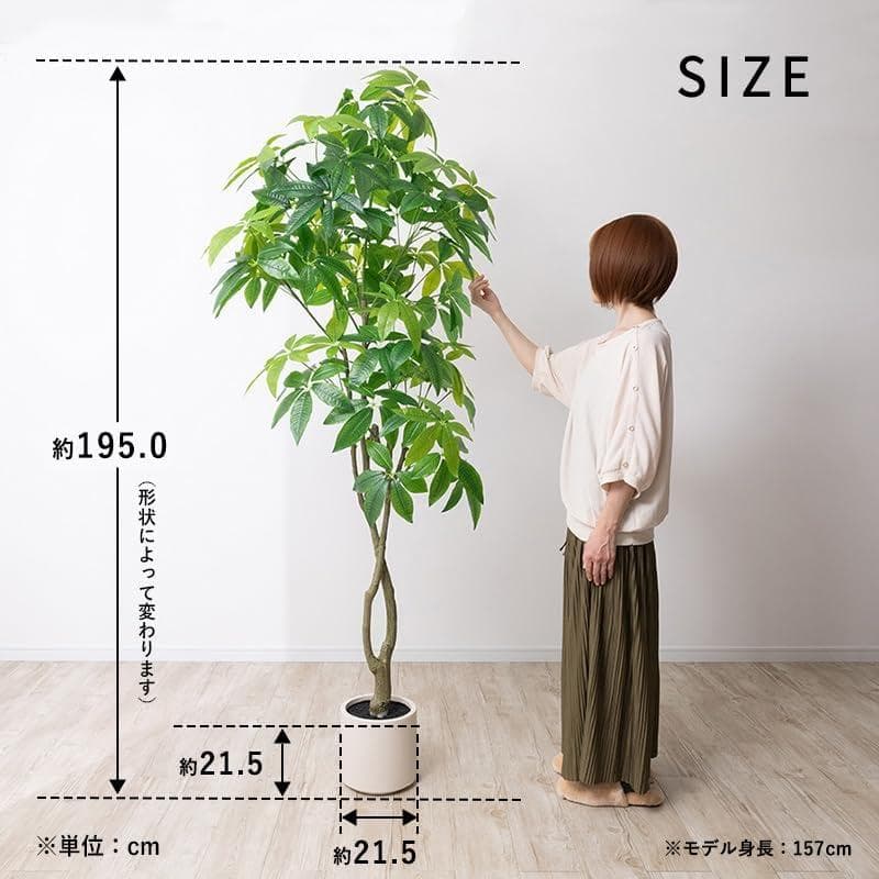 新品 三栄コーポレーション 光触媒 パキラ フェイクグリーン 約195cm