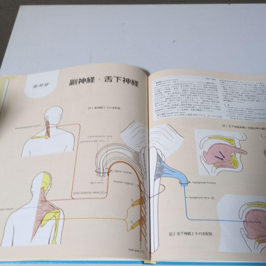＠Takuya様　臨床のための神経機能解剖学
