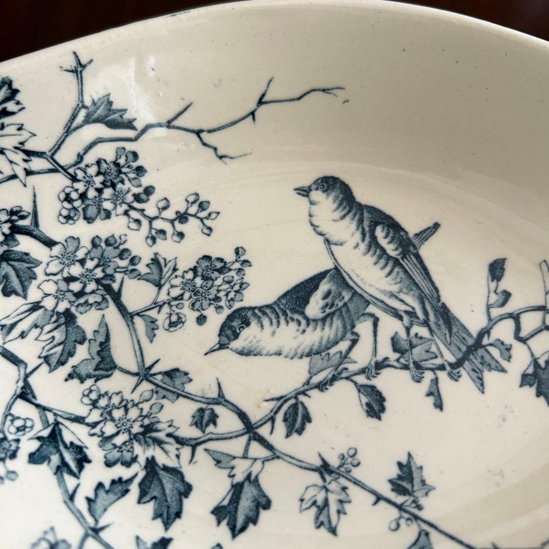 フランス　アンティーク　リュネヴィル　ラヴィエ　鳥