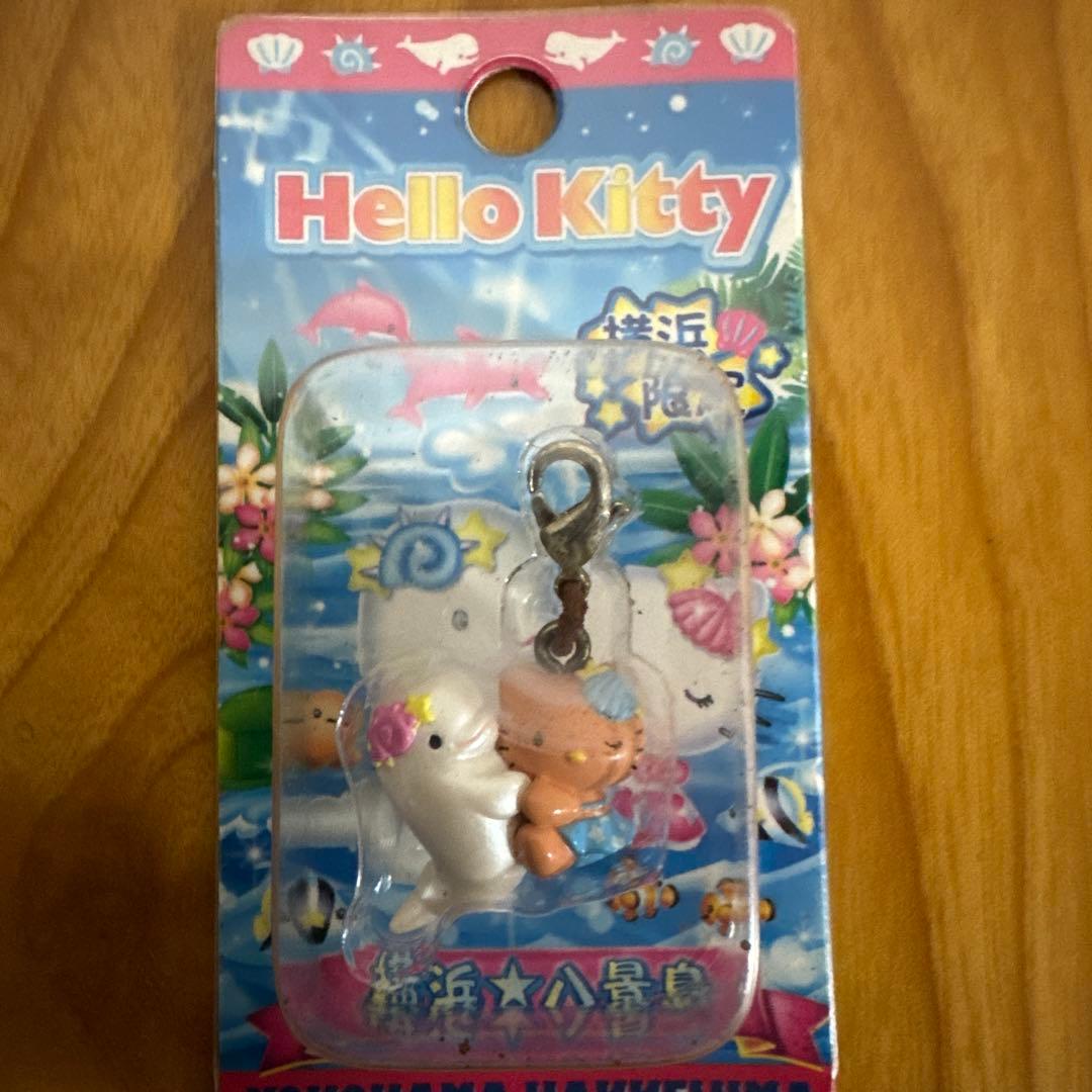 激レア！　横浜八景島限定ハローキティ　ファスナーマスコット　ピンク&ブルーセット