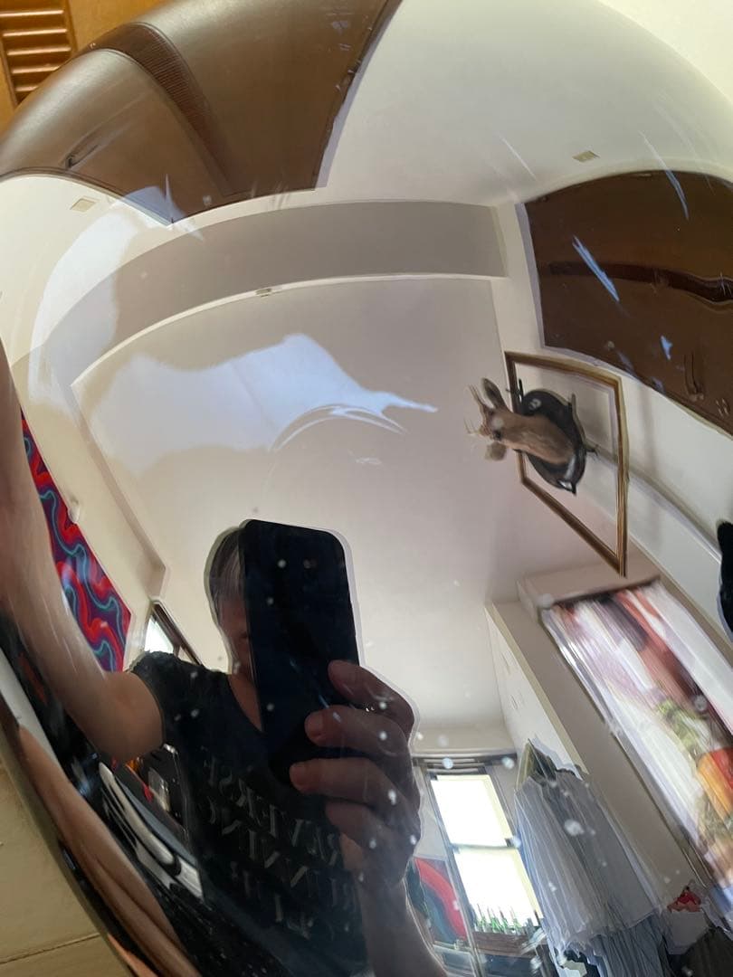 トムディクソン　メルト