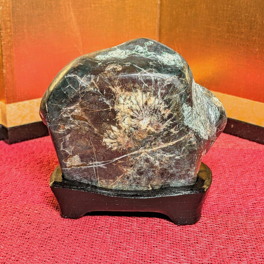 菊花石 岐阜県根尾谷産２石セット 鑑賞石 観賞石 水石 盆石 天然石