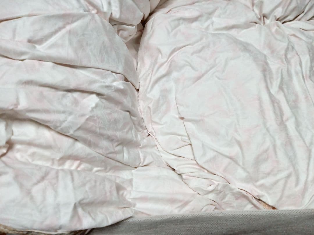 高級羽毛布団と羽毛肌掛けふとんのセット シングル ピンク系 ツーウェイ✨️日本製