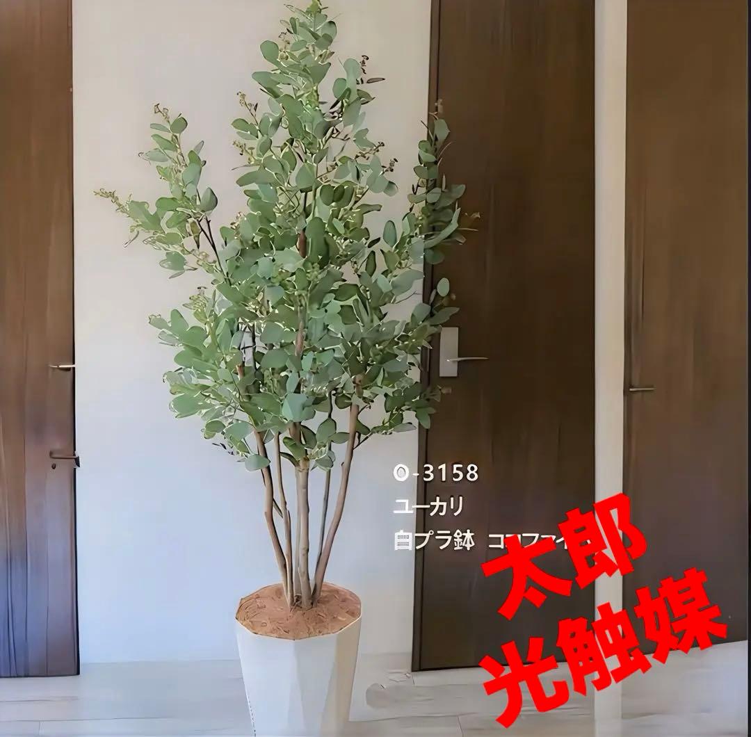 光触媒　人工観葉植物　ウォールグリーン　フェイクグリーン　ユーカリptw@gj