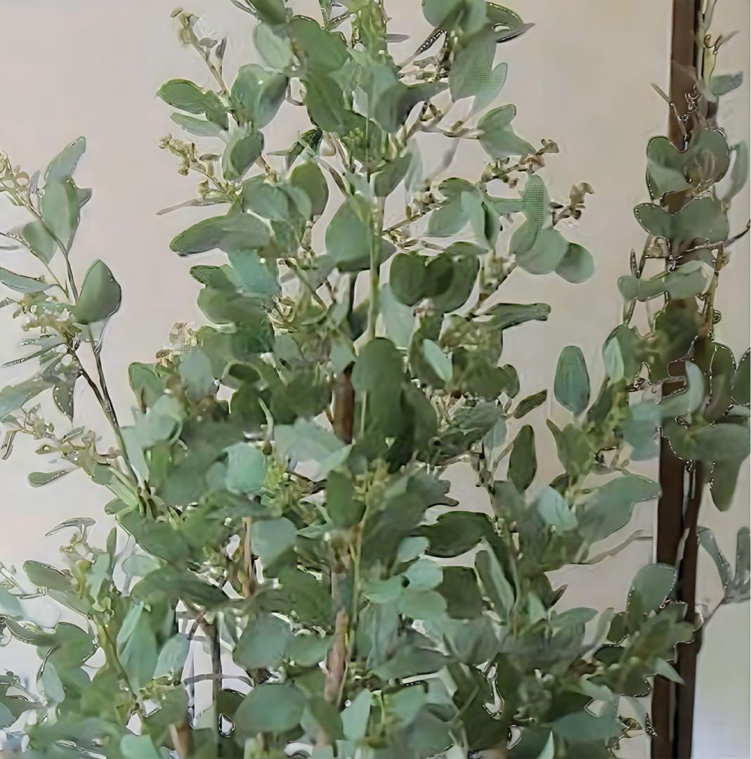 光触媒　人工観葉植物　ウォールグリーン　フェイクグリーン　ユーカリptw@gj
