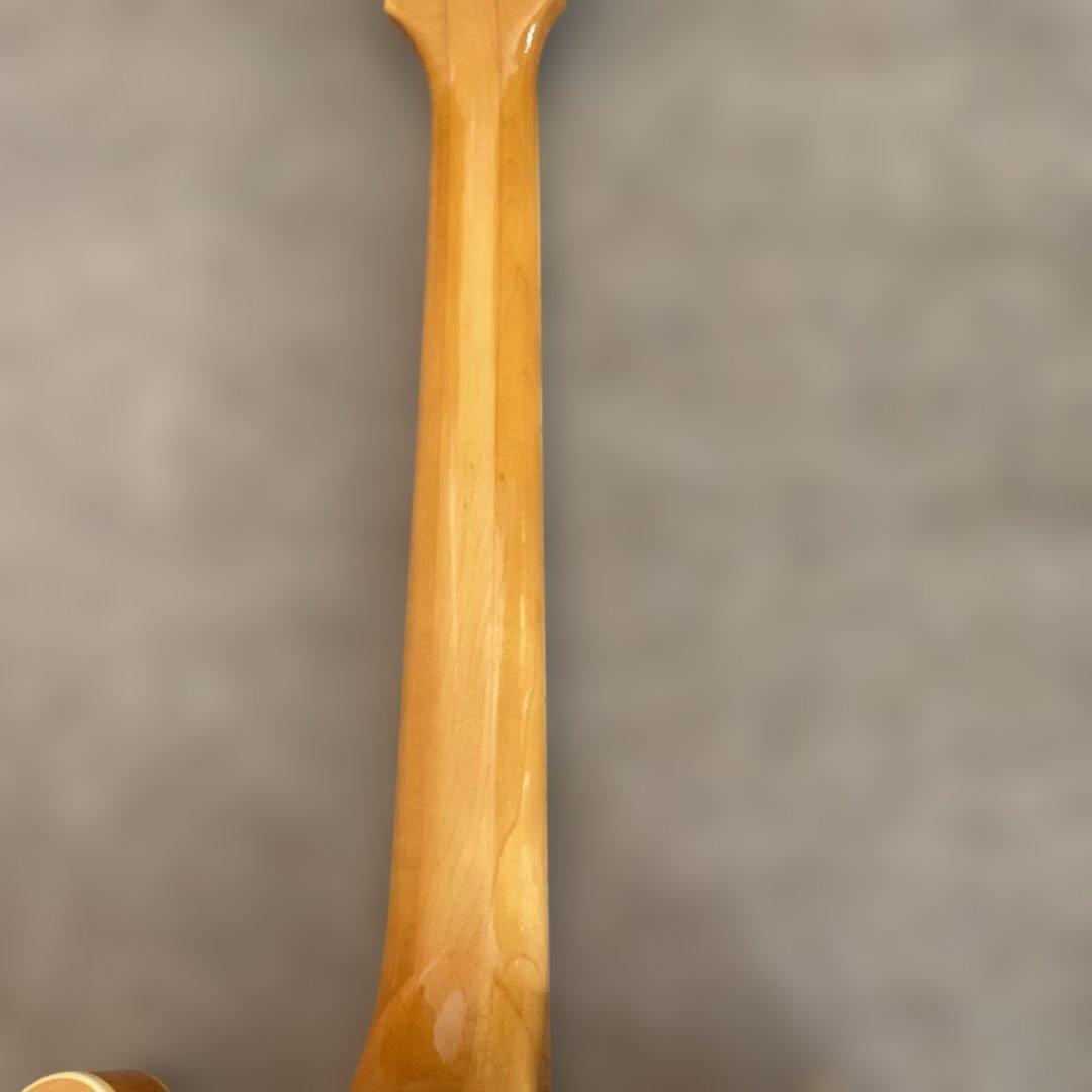 TAKA108MEpiphone CASINO 83‘s