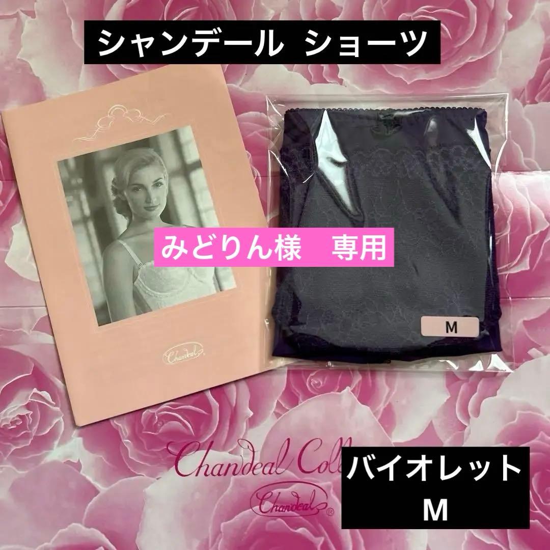 補正下着　シャンデール ショーツ　M