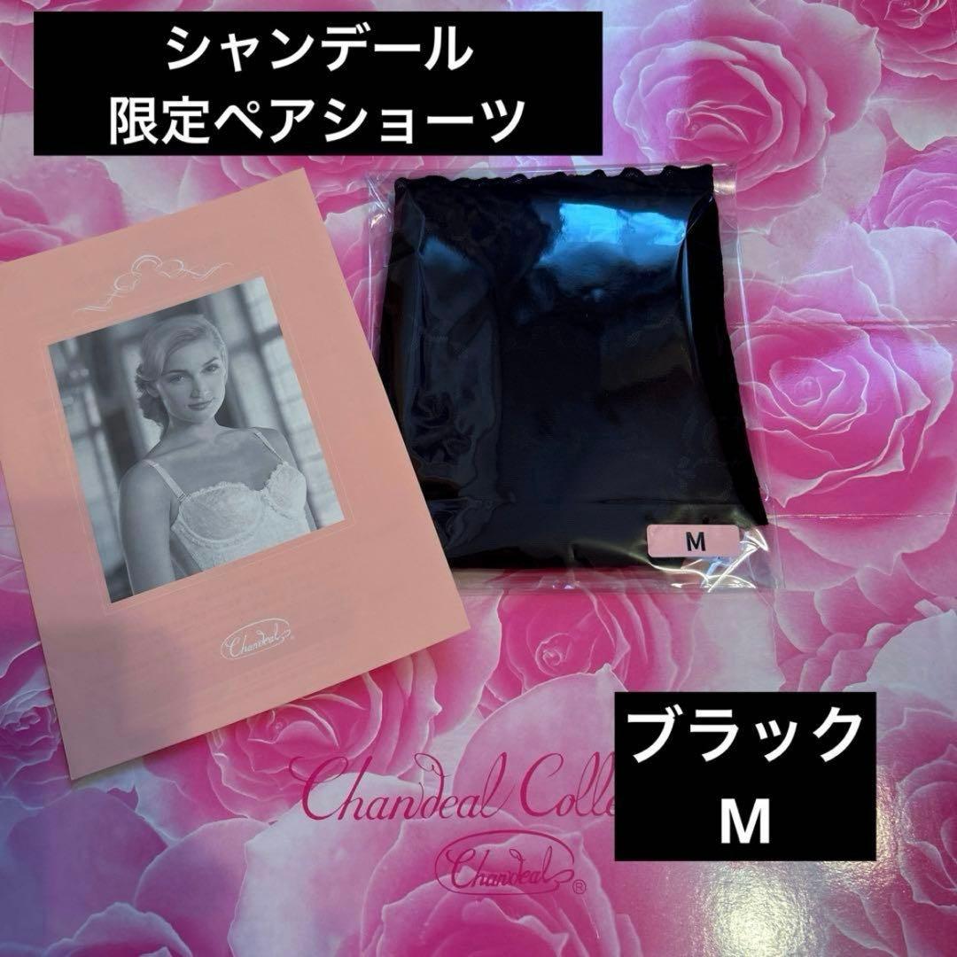 補正下着　シャンデール ショーツ　M