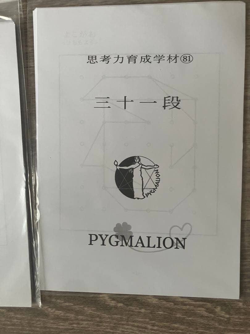 【希少・袋入】ピグマリオン 思考力育成教材 17点セット 二十一段〜三十二段