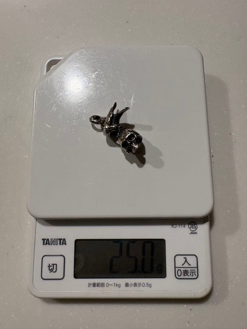 PROGRESSIVE ART JEWELRY スカルカラス ペンダント 925