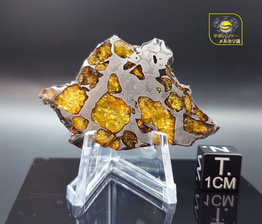 ✨つう✨10.3g イミラック パラサイト 隕石 Imilac⭐️